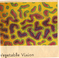 vegetable vision