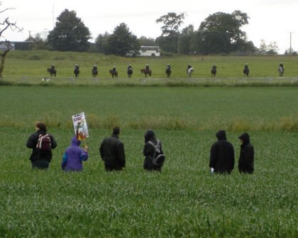 Fields surrounding Gleneagles