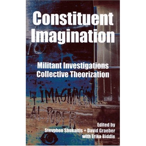 Constituent Imagination - book cover