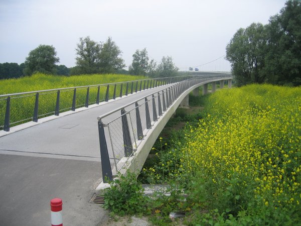 Way Out