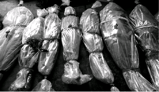 Victims of The Israeli Bombing of Lebanon, July 24,2006