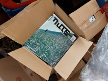 Mute 27 APG cover